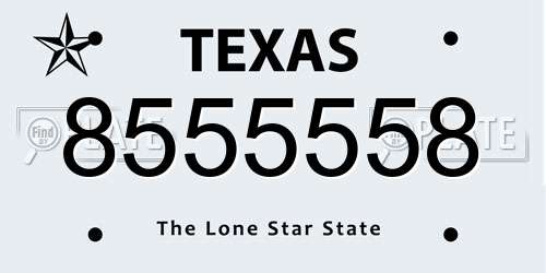 8555558 Texas License Plate