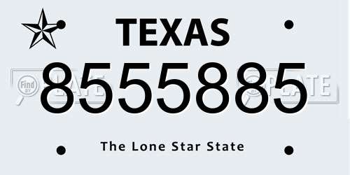 8555885 Texas License Plate