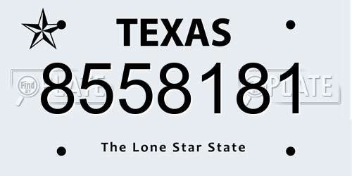 8558181 Texas License Plate