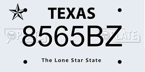 8565BZ Texas License Plate