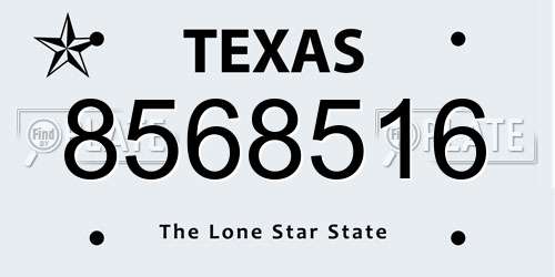8568516 Texas License Plate
