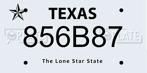 856B87 Texas License Plate