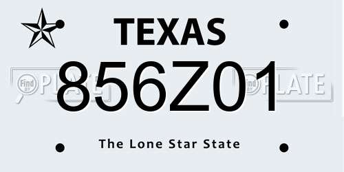 856Z01 Texas License Plate