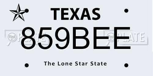 859BEE Texas License Plate