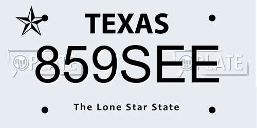 859SEE Texas License Plate