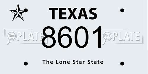 8601 Texas License Plate