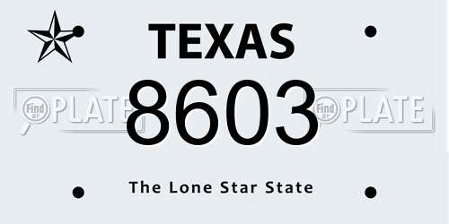 8603 Texas License Plate