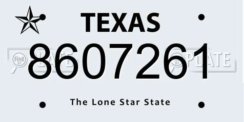 8607261 Texas License Plate