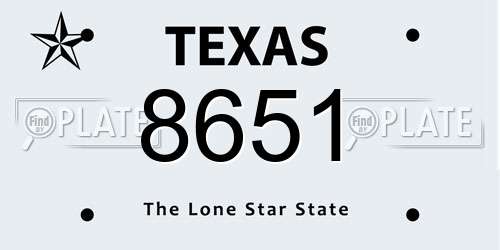 8651 Texas License Plate