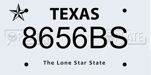 8656BS Texas License Plate