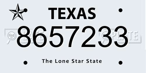8657233 Texas License Plate