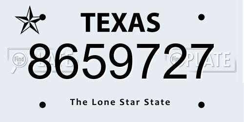 8659727 Texas License Plate