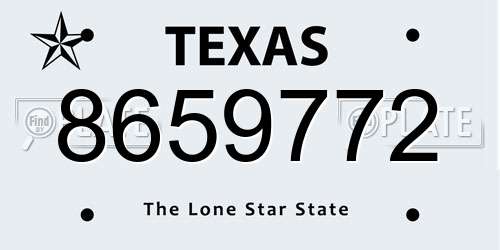 8659772 Texas License Plate