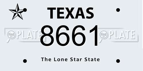 8661 Texas License Plate