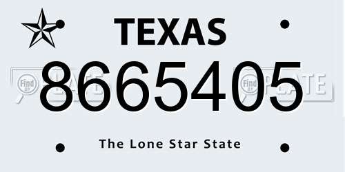8665405 Texas License Plate