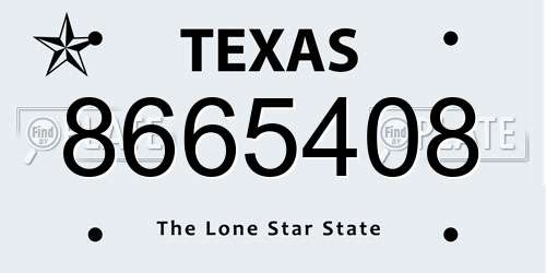 8665408 Texas License Plate