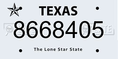 8668405 Texas License Plate