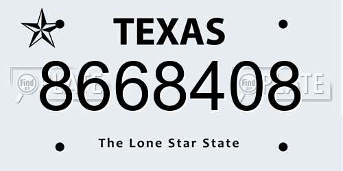 8668408 Texas License Plate