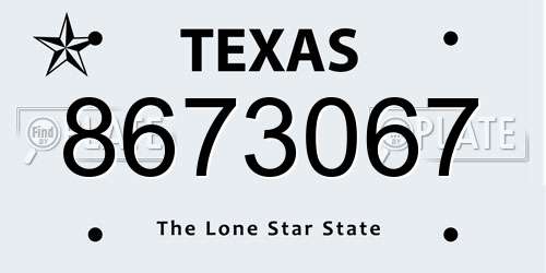 8673067 Texas License Plate