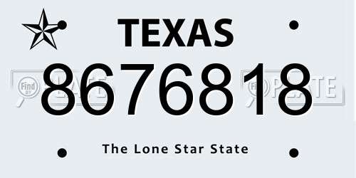 8676818 Texas License Plate