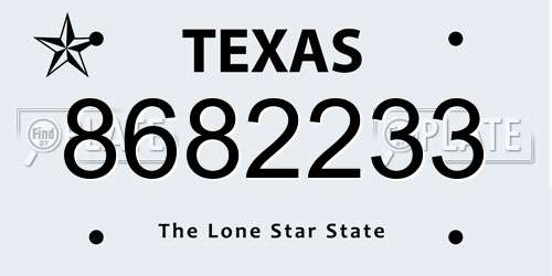 8682233 Texas License Plate