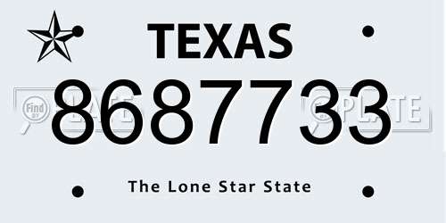 8687733 Texas License Plate