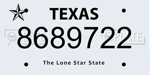 8689722 Texas License Plate
