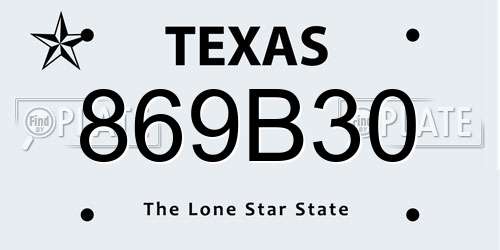 869B30 Texas License Plate