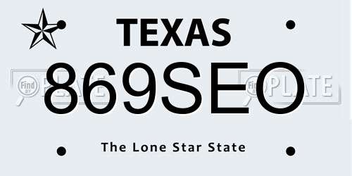 869SEO Texas License Plate