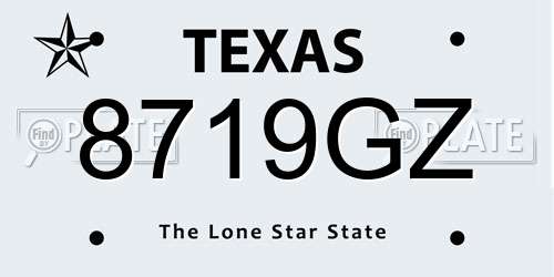8719GZ Texas License Plate