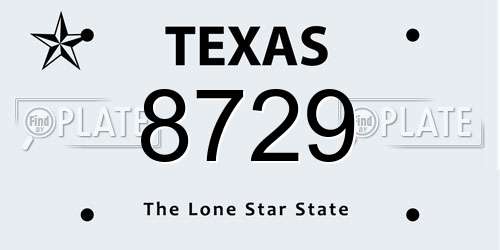 8729 Texas License Plate