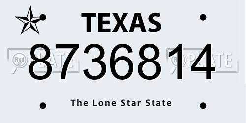 8736814 Texas License Plate