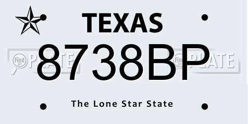 8738BP Texas License Plate