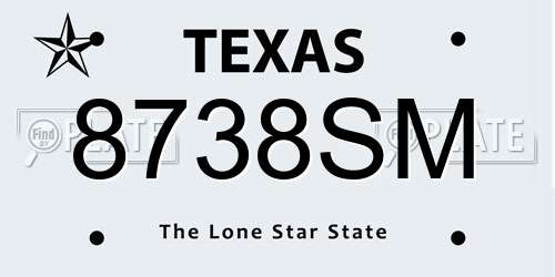 8738SM Texas License Plate