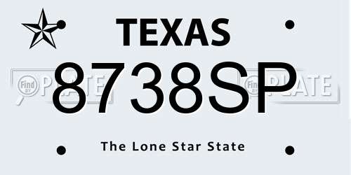 8738SP Texas License Plate
