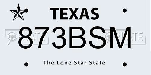 873BSM Texas License Plate