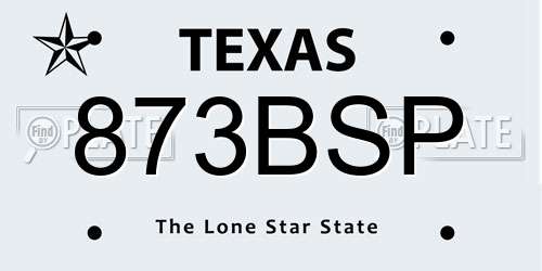 873BSP Texas License Plate