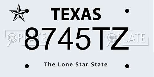 8745TZ Texas License Plate