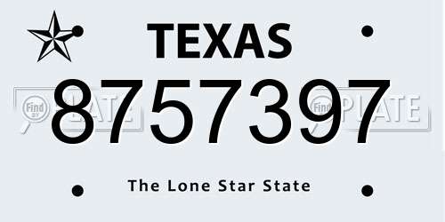 8757397 Texas License Plate