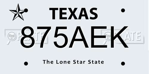 875AEK Texas License Plate
