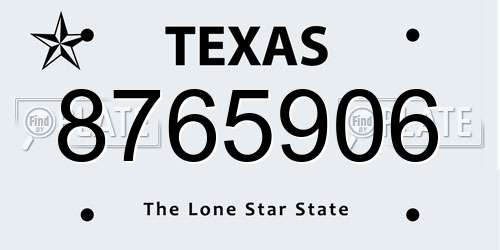 8765906 Texas License Plate