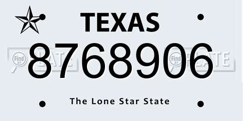 8768906 Texas License Plate