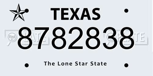 8782838 Texas License Plate