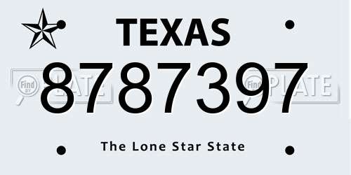8787397 Texas License Plate