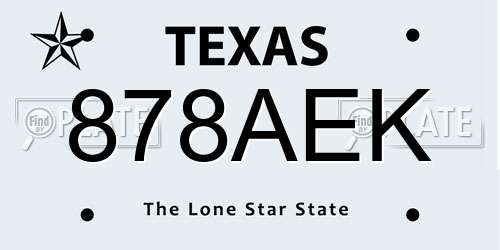 878AEK Texas License Plate