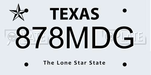 878MDG Texas License Plate