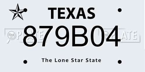 879B04 Texas License Plate