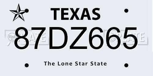 87DZ665 Texas License Plate