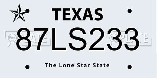 87LS233 Texas License Plate