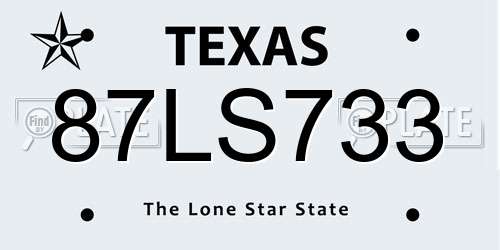 87LS733 Texas License Plate